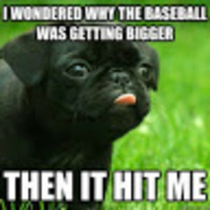 Meet your Posher, Nathaniel